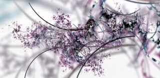 photo/0125b692-08d8-4aa4-9692-25d3b2671c39-3