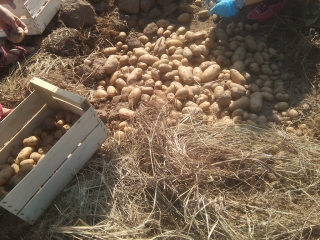 photo/032097b9-7f0e-4c83-b2dc-c952c6dbfb32-3