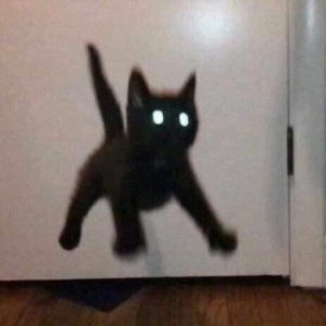 lenticchie