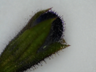 photo/08ef6c89-033b-4219-8696-f2b1f89a1479-3