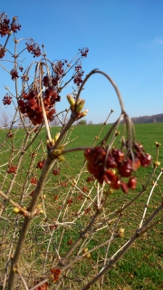 2019-04