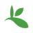GBIF