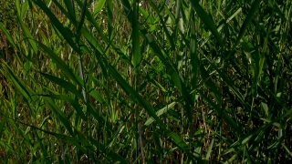 photo/179b402b-d608-45b1-9954-3923d3614485-3