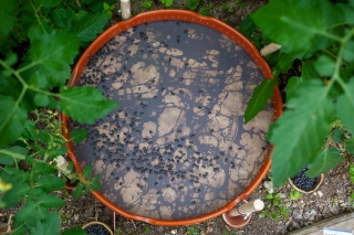 MOBILE-SOILS-DINNER-29-1.jpg