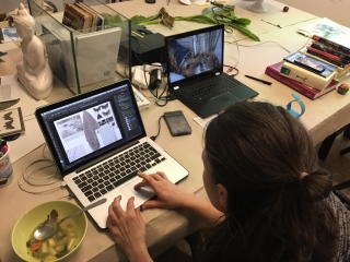 photo/1b593e72-757e-42f8-ba42-5c213d1deca9-3