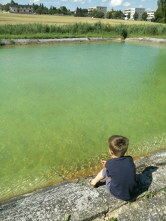 photo/1d4d914b-b978-47ae-855d-329dd2b24f46-3