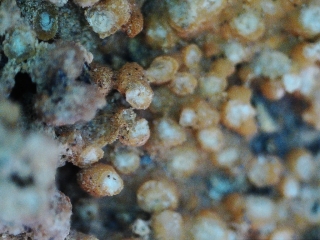 photo/1f018e22-7645-4081-adc7-2d418232f054-3