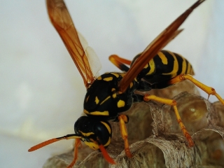 photo/20ede387-8748-48f4-a721-b0aec41dedb6-3