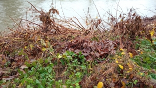 IMG_20201104_113758.jpg