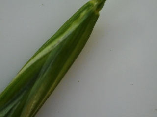 photo/24b46c43-df25-4985-b4f4-a38975b49def-3