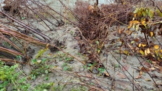 IMG_20201104_113850.jpg