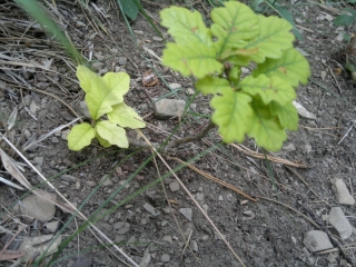 photo/276bc16b-da57-471d-a137-e8e0be097218-3