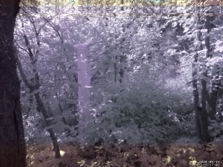 photo/283ad61e-f18d-4c1c-86c0-8c7cc350015e-3