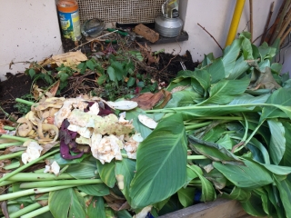 photo/2b65a58e-4c49-46be-b4ee-19192a61914d-3