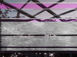 photo/2e9726b8-a3fe-4a59-a4e7-a5f509efb27a-3