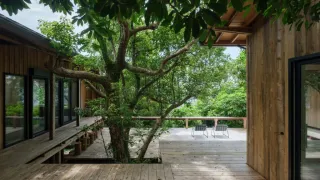 photo/2f7be99b-49e5-4b29-8799-571f95bfdaa1-3