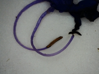 photo/37c07d42-8ee2-4365-81f6-84e47b1ef35f-3