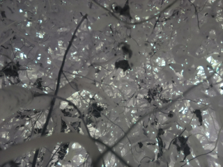 photo/38a92b75-5ad6-40c7-8065-43c691516647-3