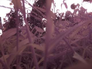 photo/3e501e23-2f06-46c0-b4fa-60ba5a8a384b-3