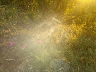 photo/419bdae5-484d-4a48-9c3d-a0b3c8fba5c5-3