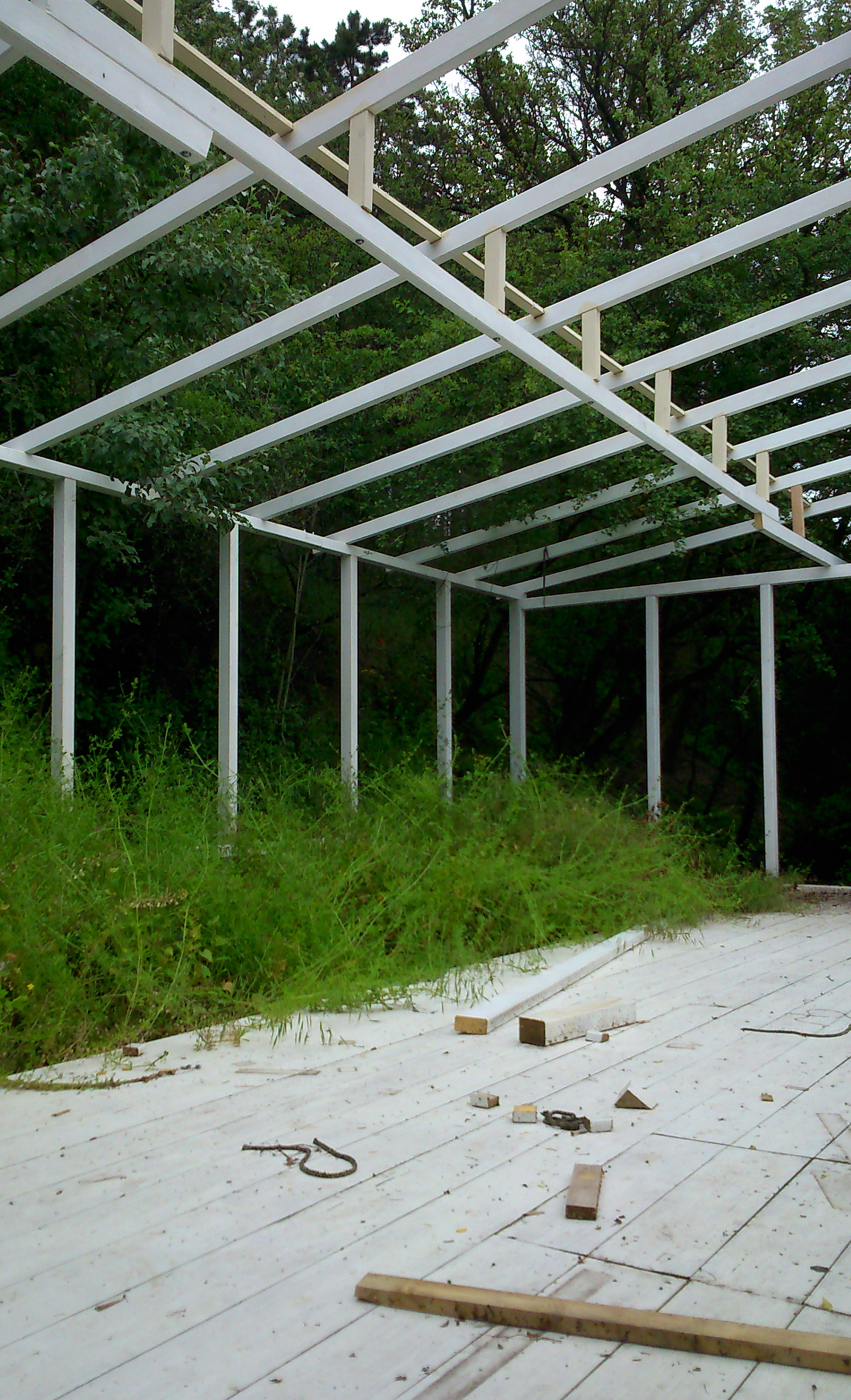 Image/photo