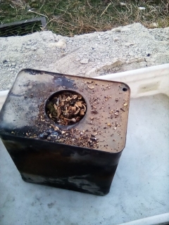 photo/42d2c7f3-8d21-4a62-abf3-441d7831f3ab-3