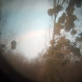 photo/431d3ea9-dba4-4877-90cf-a4e596d050ce-3