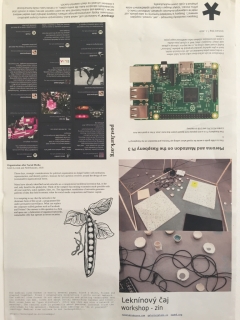 photo/433c019c-cfc0-43df-b830-4119c8f6f8f1-3