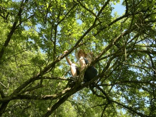 photo/4668dc80-b08f-470c-ab91-1572488d7656-3