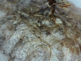 photo/471b4d6b-f379-4324-a476-3e1f425ad480-3