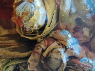 photo/487e17e5-5df2-4fe8-a8b4-e25affb50460-3