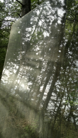 photo/488e18f0-5128-4e18-a4e4-1dc4b7252608-3