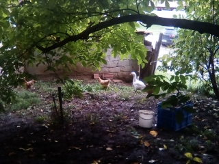 photo/49703dc9-cd90-434a-aff4-826d4ef4bfe7-3