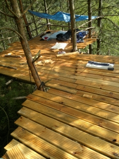 photo/4ecea87c-598c-4752-ae66-aba8db22d409-3