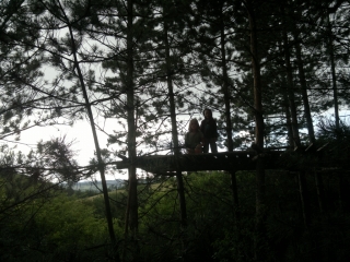 photo/53836bcf-04e5-4bf0-8c0b-646dacd93737-3