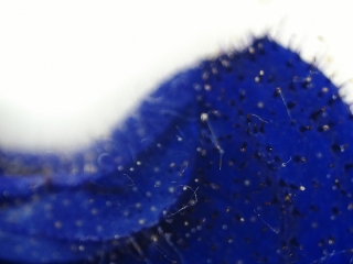 photo/53db0417-1bb7-488b-ba59-3c62005d94ef-3