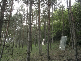 photo/560a001b-985d-4e15-98c0-ee7edcdf5bc3-3