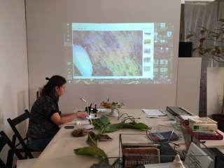 photo/59cfc7df-26b1-46a5-bc08-a5be60b05cfb-3