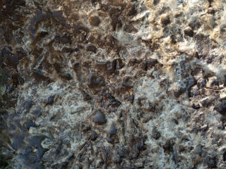 photo/5ac81fbe-4d65-4a08-ba39-2e4a8b4c22a7-3