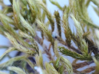 photo/5b37f768-512c-4e97-9e91-6b45ad16addd-3