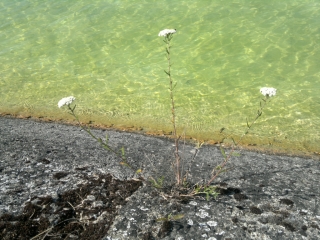 photo/5cca649d-8fc4-4548-8cfc-3688954cdc76-3