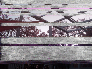 photo/5df40726-f883-418a-82ce-4e39929233d5-3