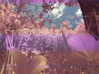 photo/5e99572d-b302-41aa-9b07-00eb2c1cb6fb-3
