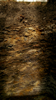 photo/5ed5b732-7872-4715-b098-9c4212b9e7e3-3