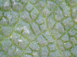 photo/6083cf2a-5b95-4447-a511-dd59f5c19ec2-3