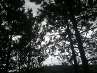 photo/63b15c5b-c643-4f9a-8fce-e6a713c319f3-3