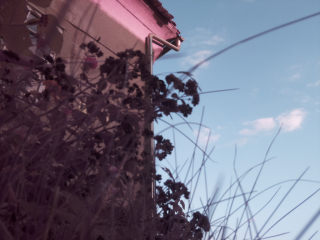 photo/64641f53-eb1b-4b1d-8d3a-cf0015f32b12-3