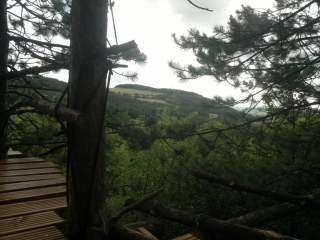 photo/656621e7-e699-4c2c-b1f6-f3e3c88d6df9-3