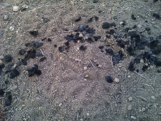 photo/66a4a8d9-21a8-4848-9009-ae1bf12fc0b5-3