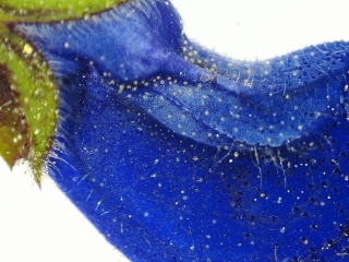 photo/6a350795-082a-4d40-83d0-7de33ee462cc-3